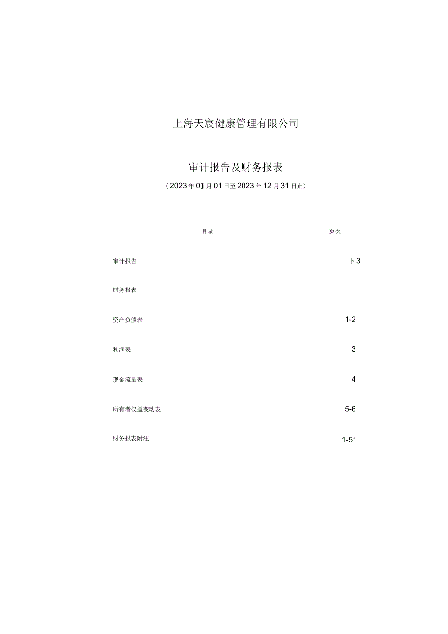 上海天宸健康管理有限公司审计报告及财务报表.docx_第1页