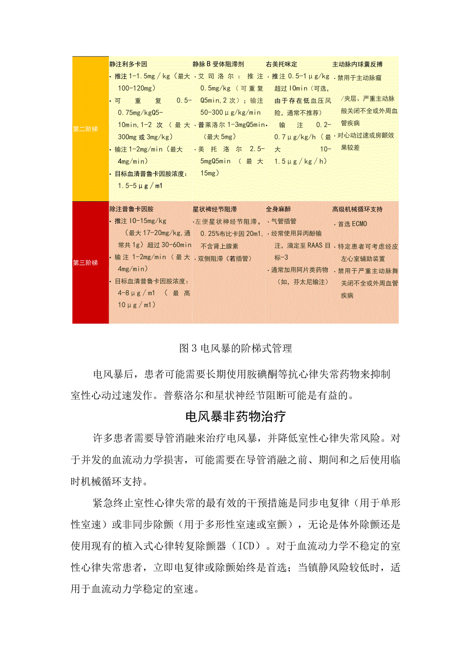 临床电风暴的临床评估和三步阶梯治疗及非药物治疗.docx_第3页