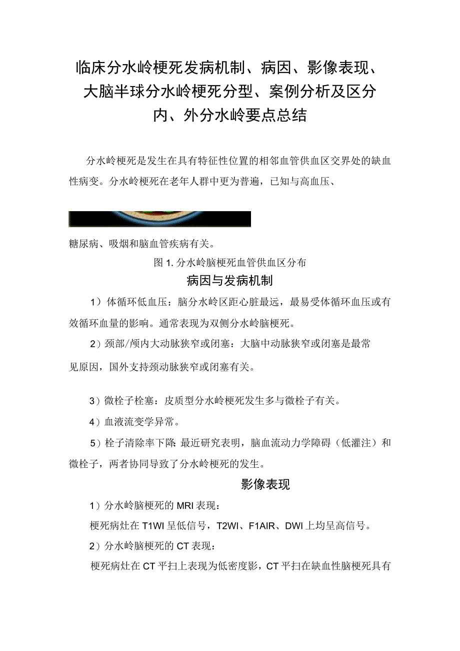 临床分水岭梗死发病机制病因影像表现大脑半球分水岭梗死分型案例分析及区分内外分水岭要点总结.docx_第1页