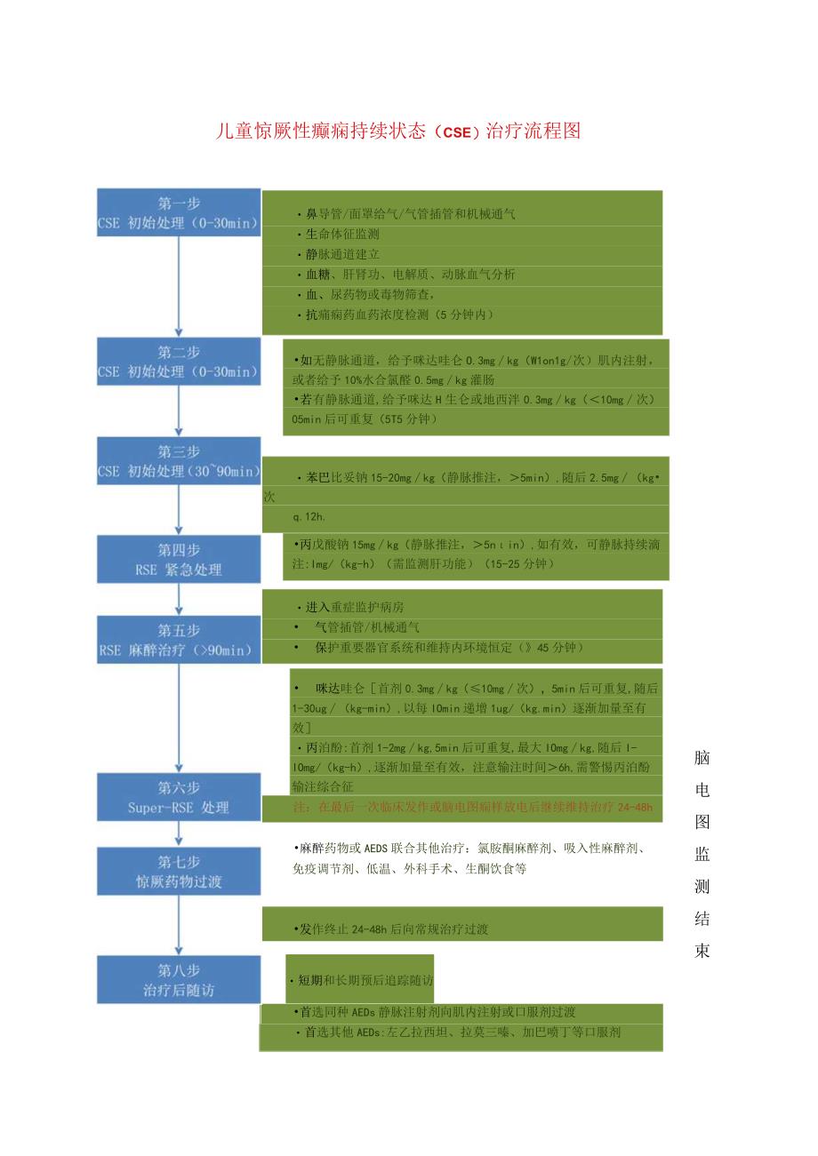 儿童惊厥性癫痫持续状态CSE治疗流程图.docx_第1页