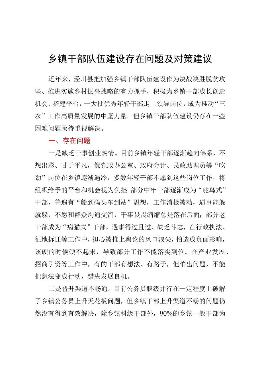 乡镇干部队伍建设存在问题及对策建议.docx_第1页