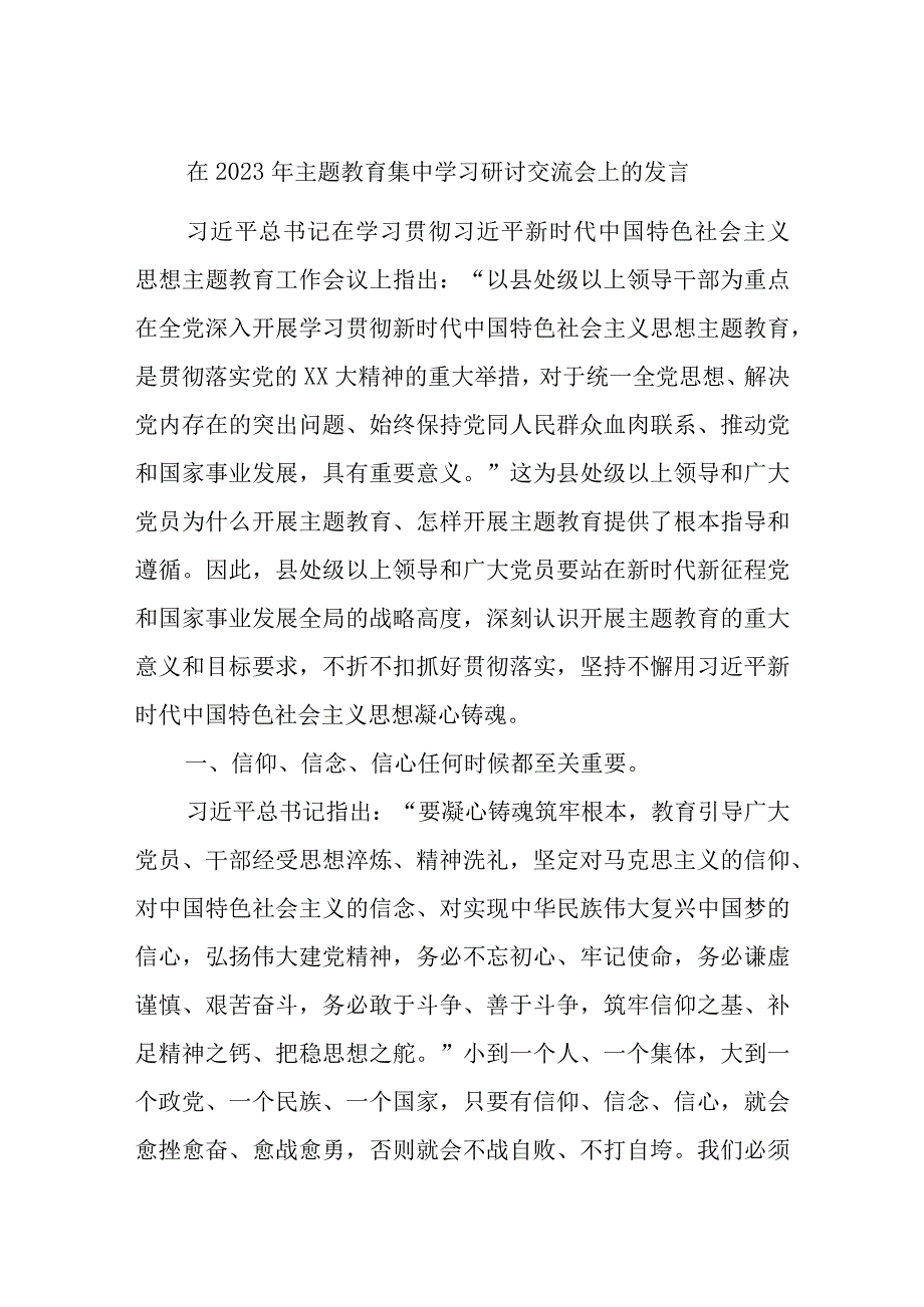 在2023年主题教育集中学习研讨交流会上的发言优选范文.docx_第1页