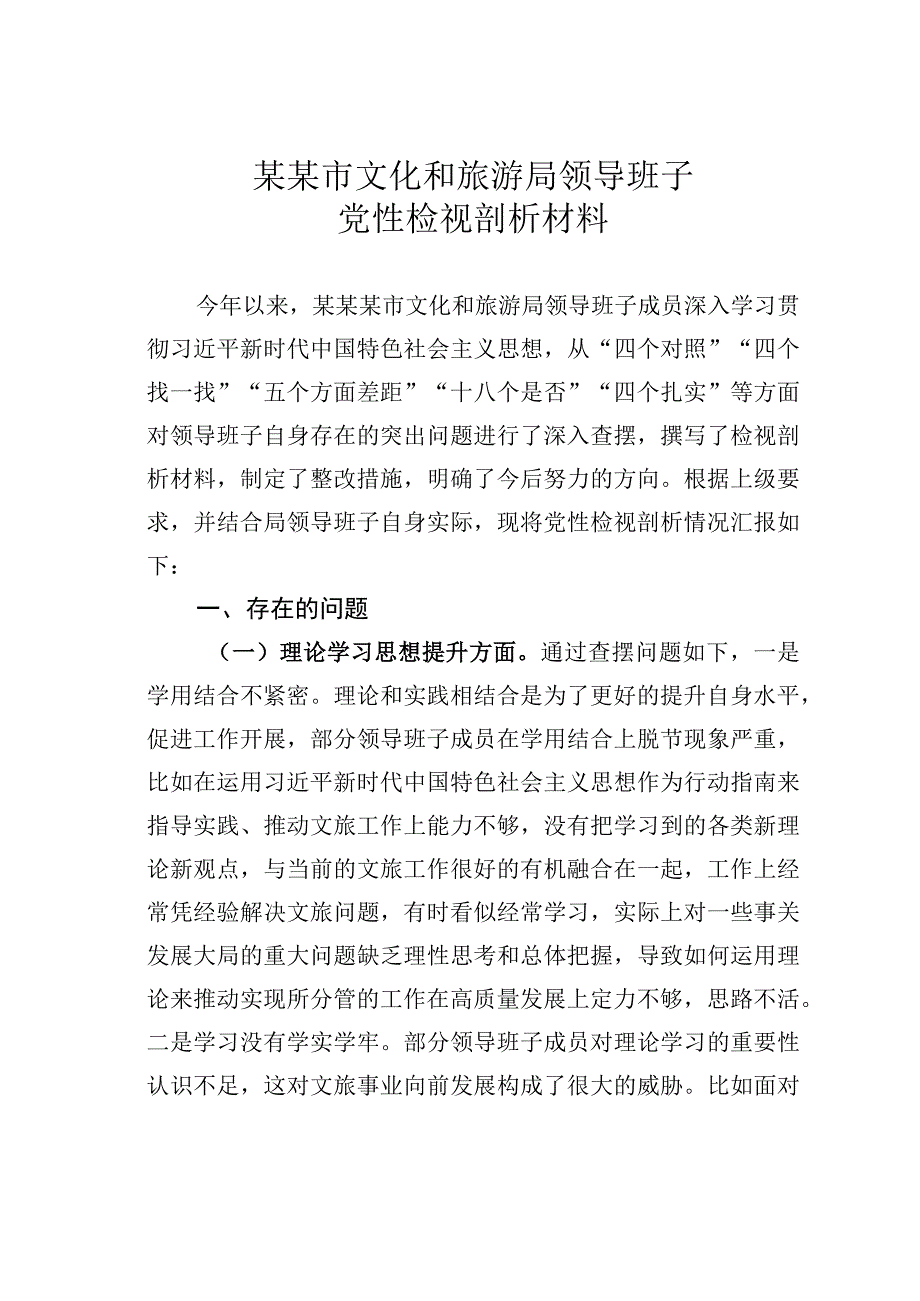 某某市文化和旅游局领导班子党性检视剖析材料.docx_第1页