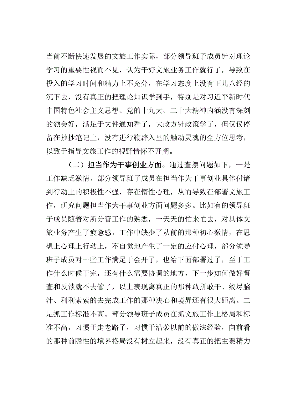 某某市文化和旅游局领导班子党性检视剖析材料.docx_第2页