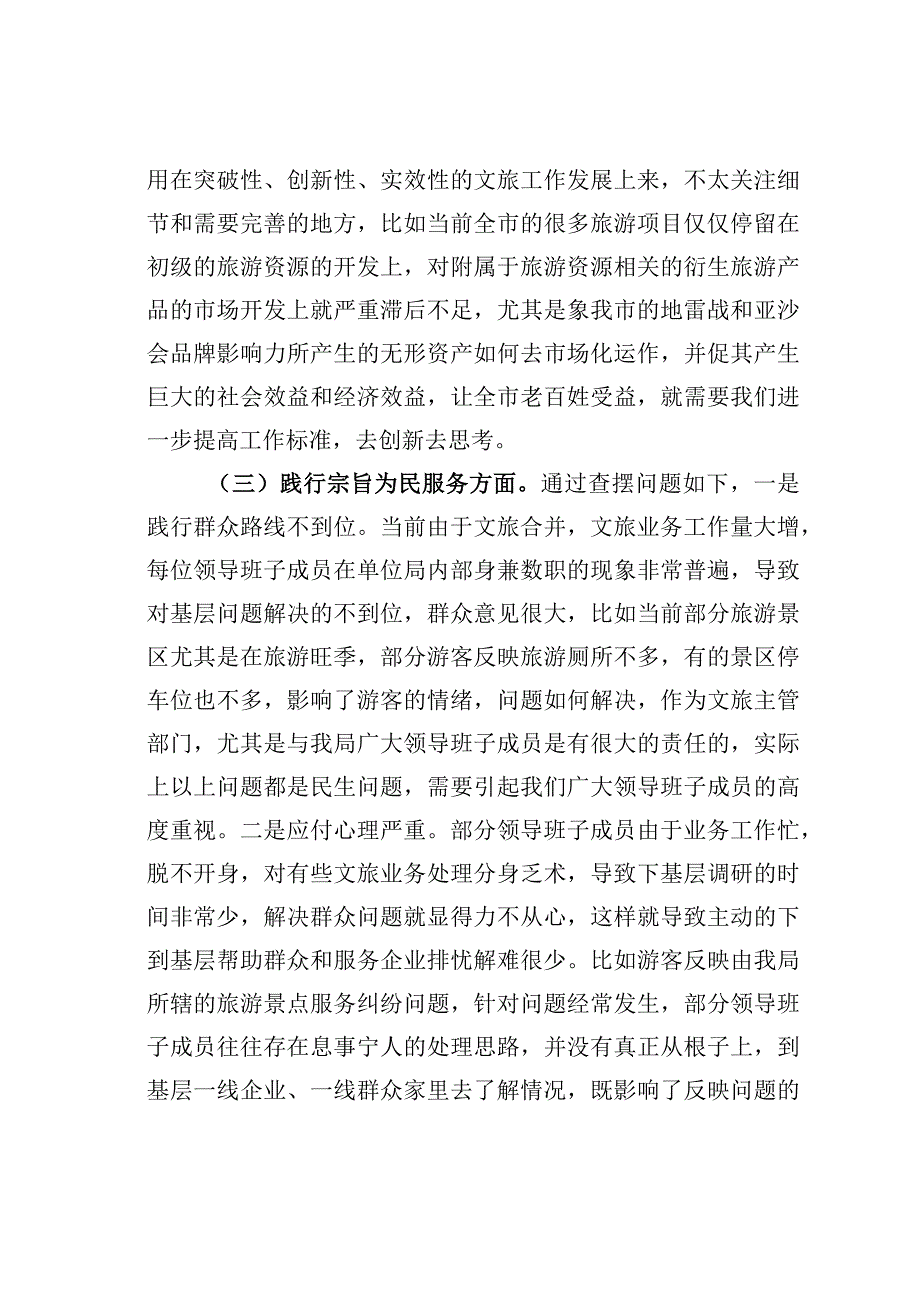 某某市文化和旅游局领导班子党性检视剖析材料.docx_第3页