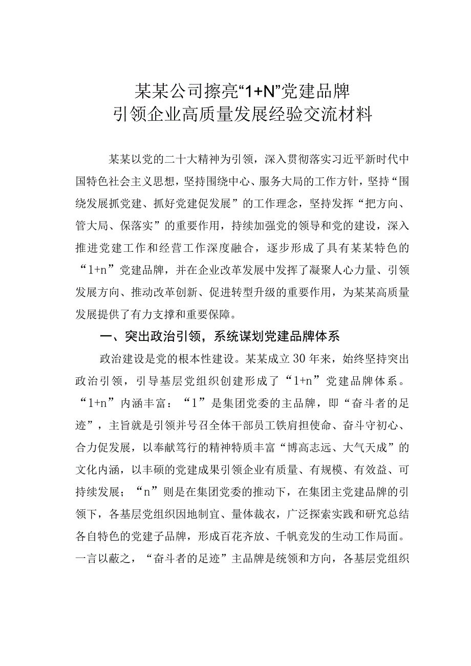 某某公司擦亮1+N党建品牌引领企业高质量发展经验交流材料.docx_第1页