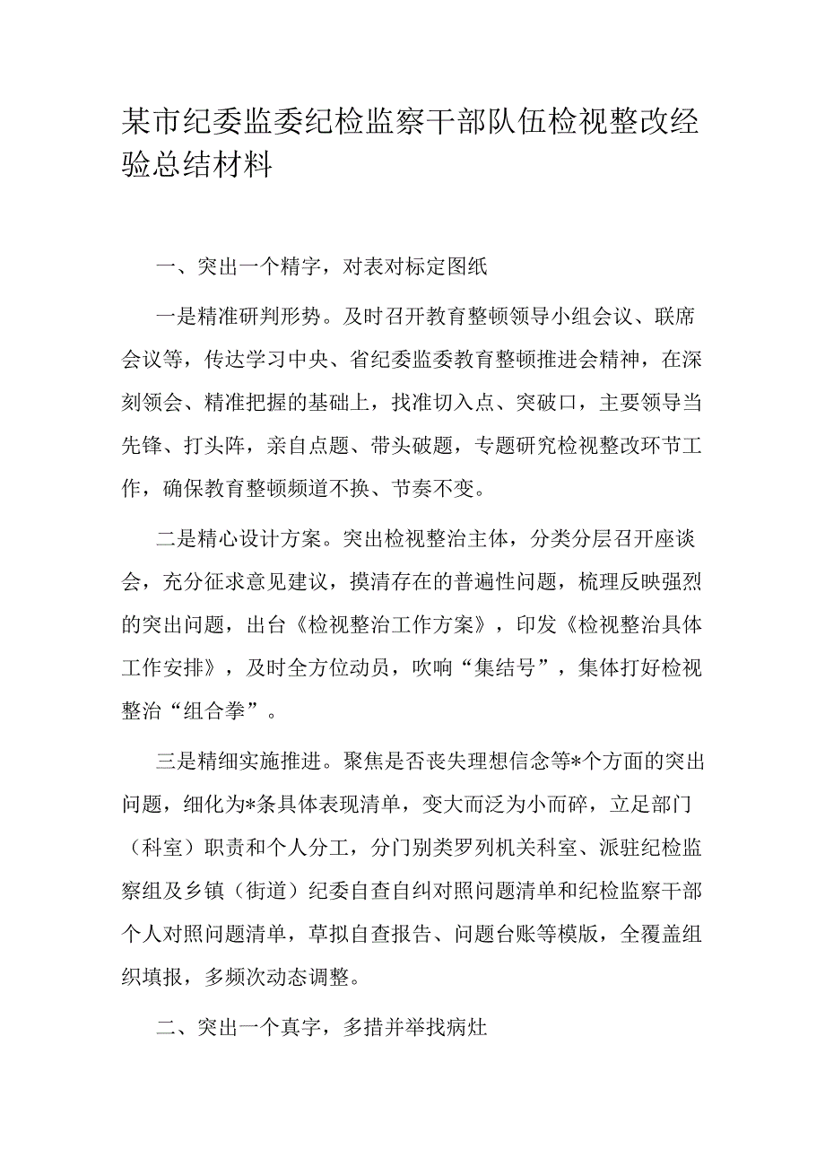 某市纪委监委纪检监察干部队伍检视整改经验总结材料.docx_第1页