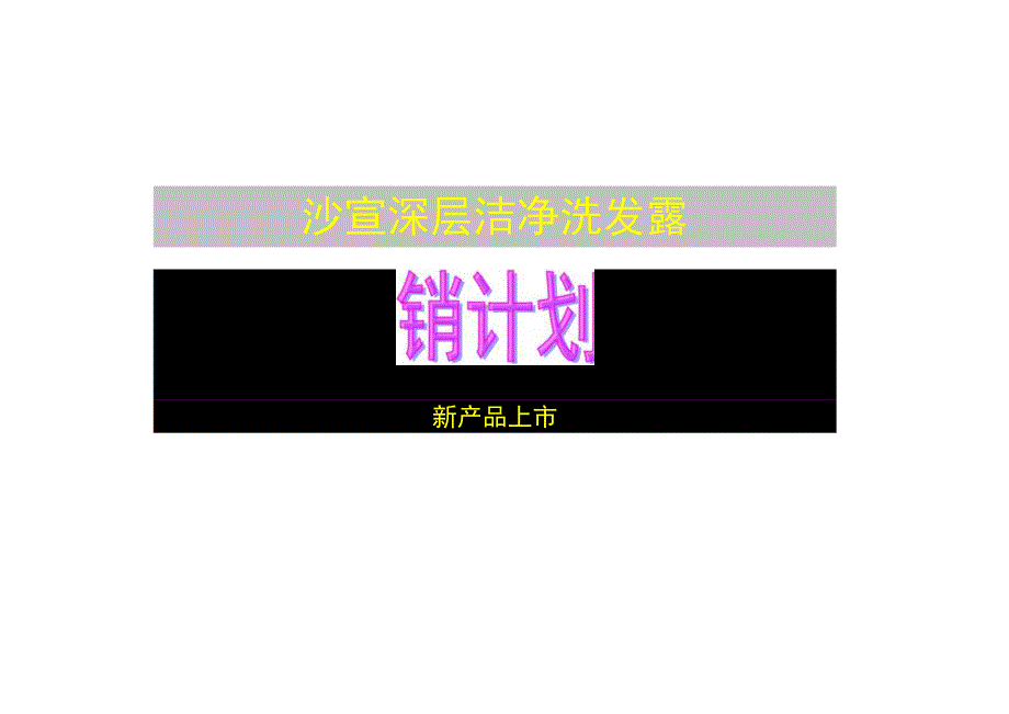 沙宣产品年度促销计划.docx_第1页