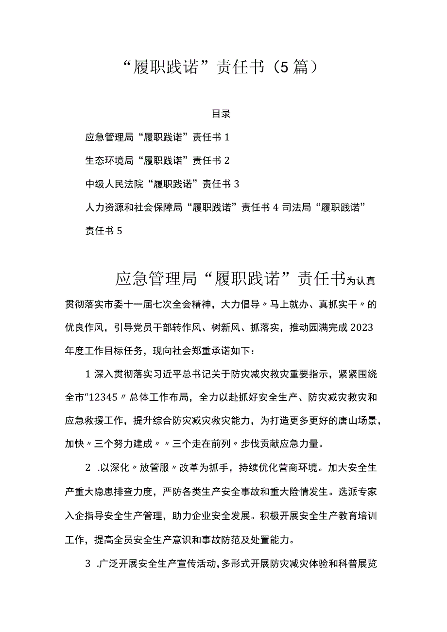 履职践诺责任书5篇.docx_第1页