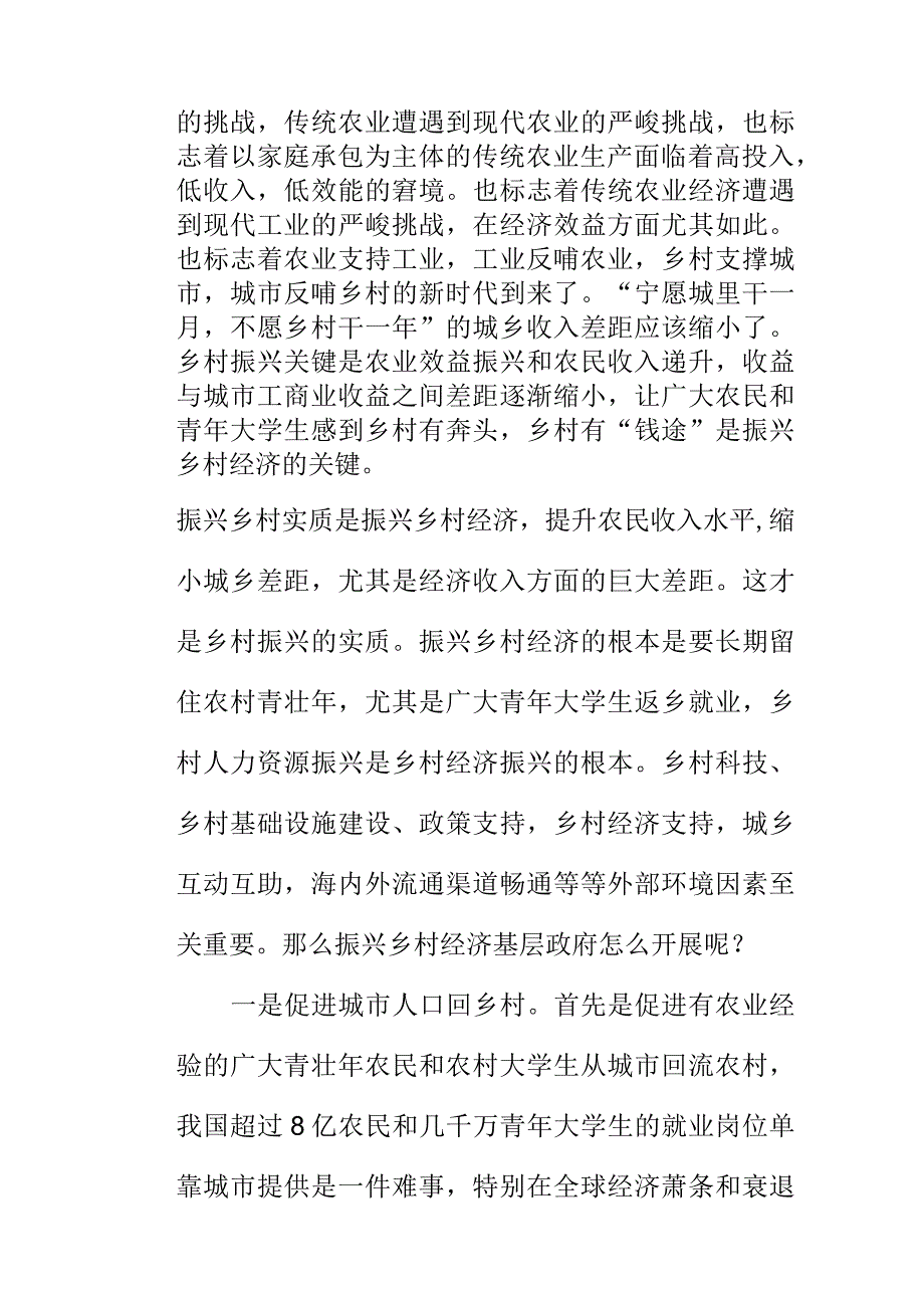 振兴乡村经济基层政府要怎么开展.docx_第2页