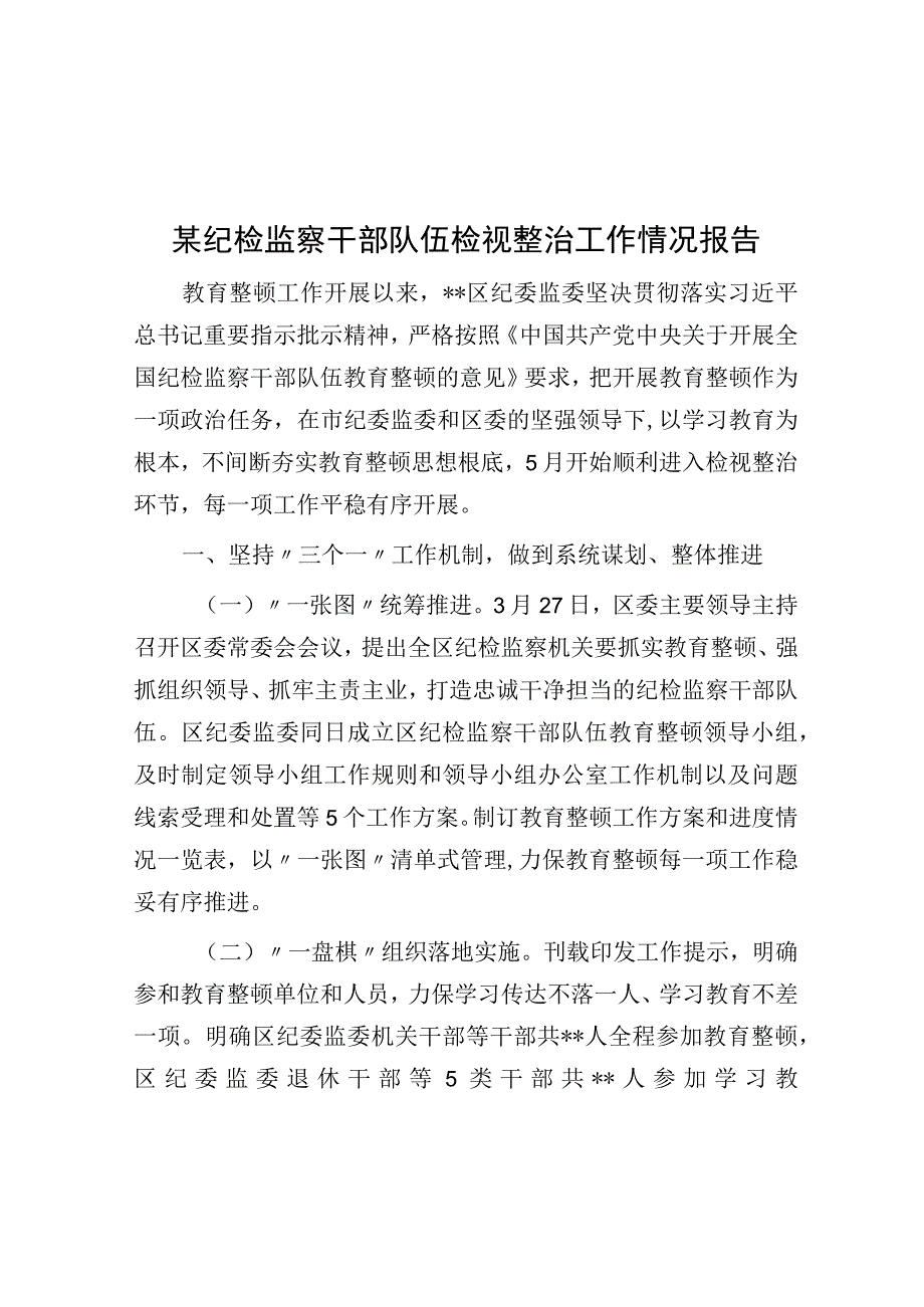 某纪检监察干部队伍检视整治工作情况报告.docx_第1页