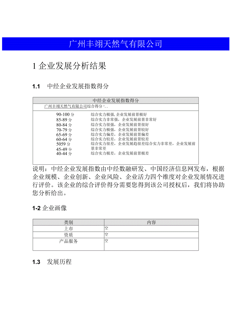 广州丰翊天然气有限公司介绍企业发展分析报告.docx_第2页