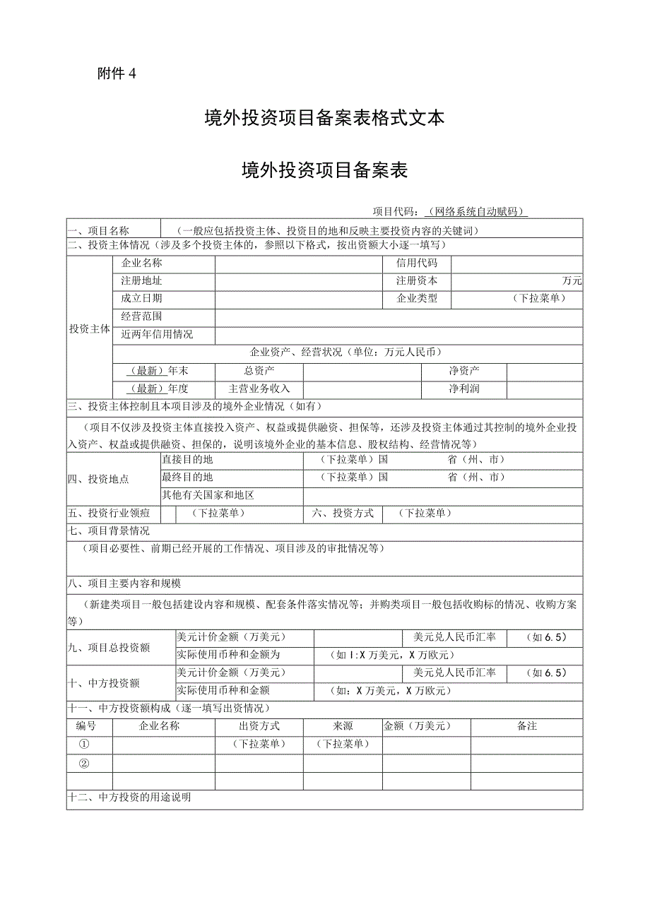 境外投资项目申报材料模板.docx_第1页