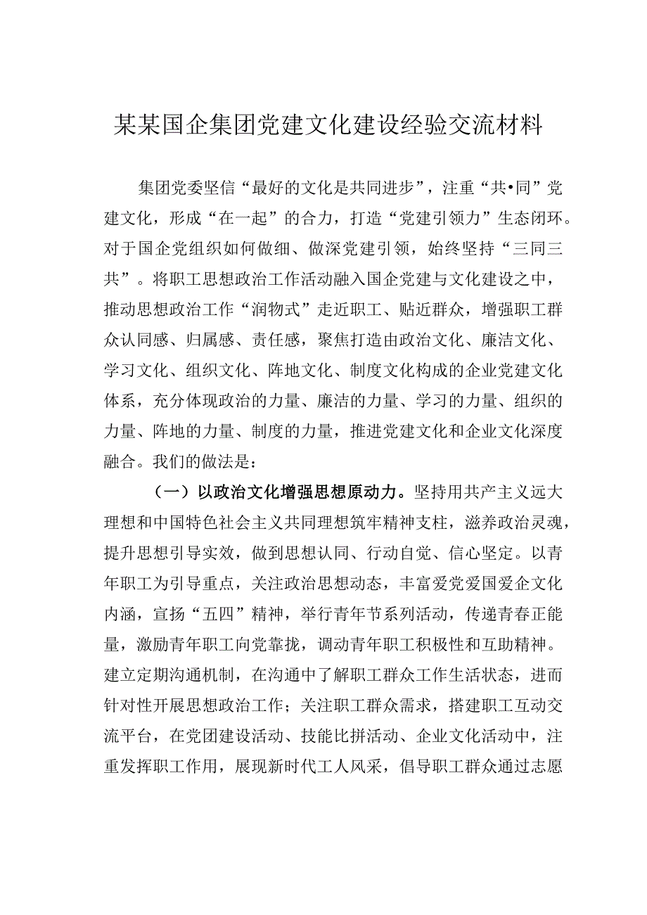 某某国企集团党建文化建设经验交流材料.docx_第1页