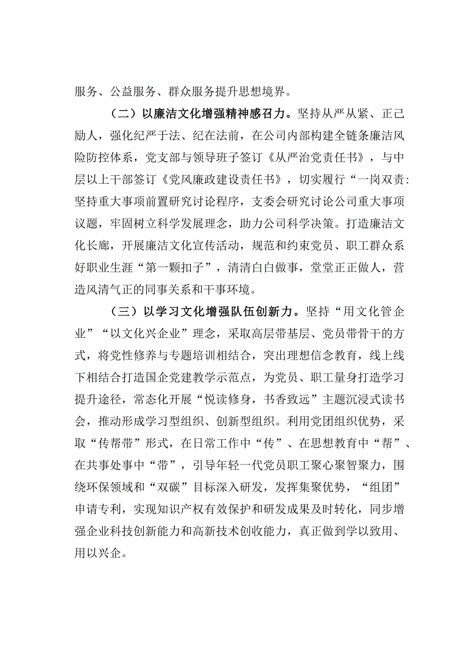 某某国企集团党建文化建设经验交流材料.docx_第2页