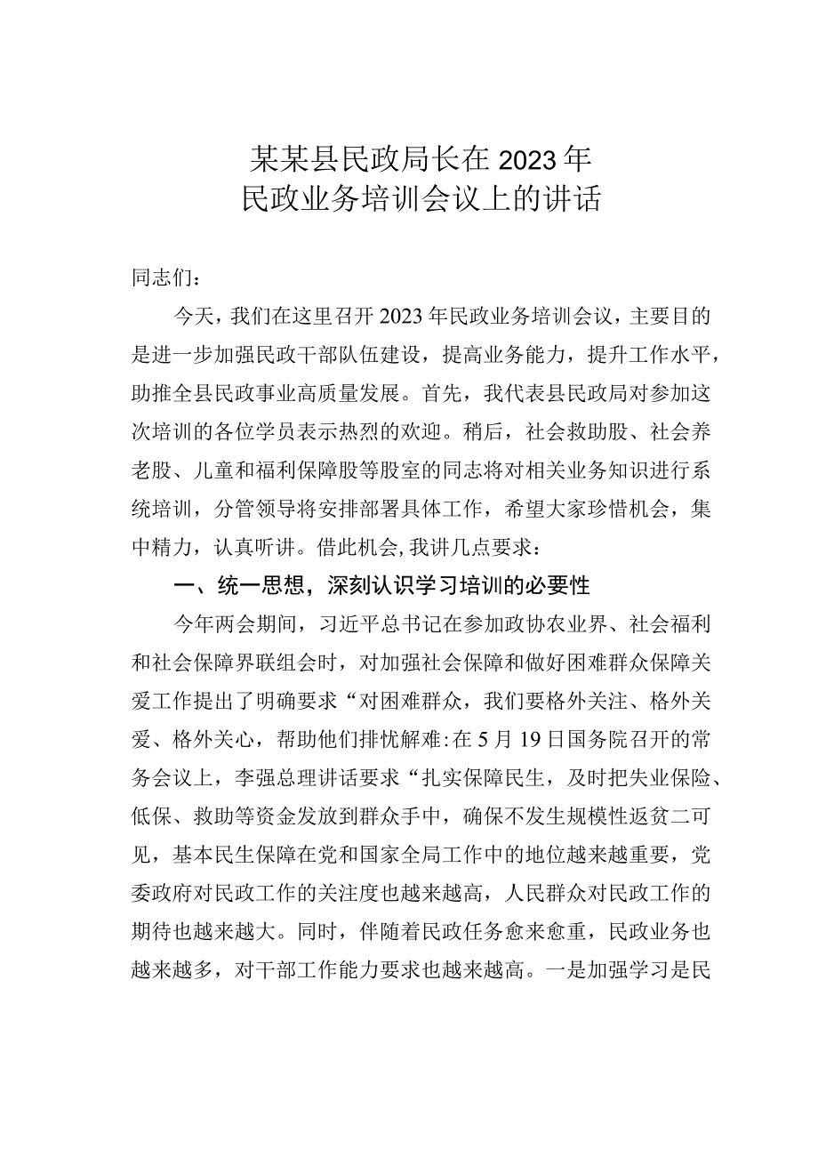 某某县民政局长在2023年民政业务培训会议上的讲话.docx_第1页