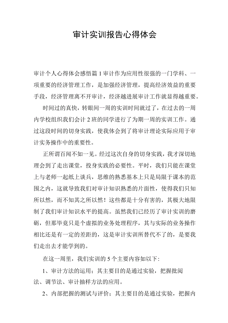 审计实训报告心得体会.docx_第1页