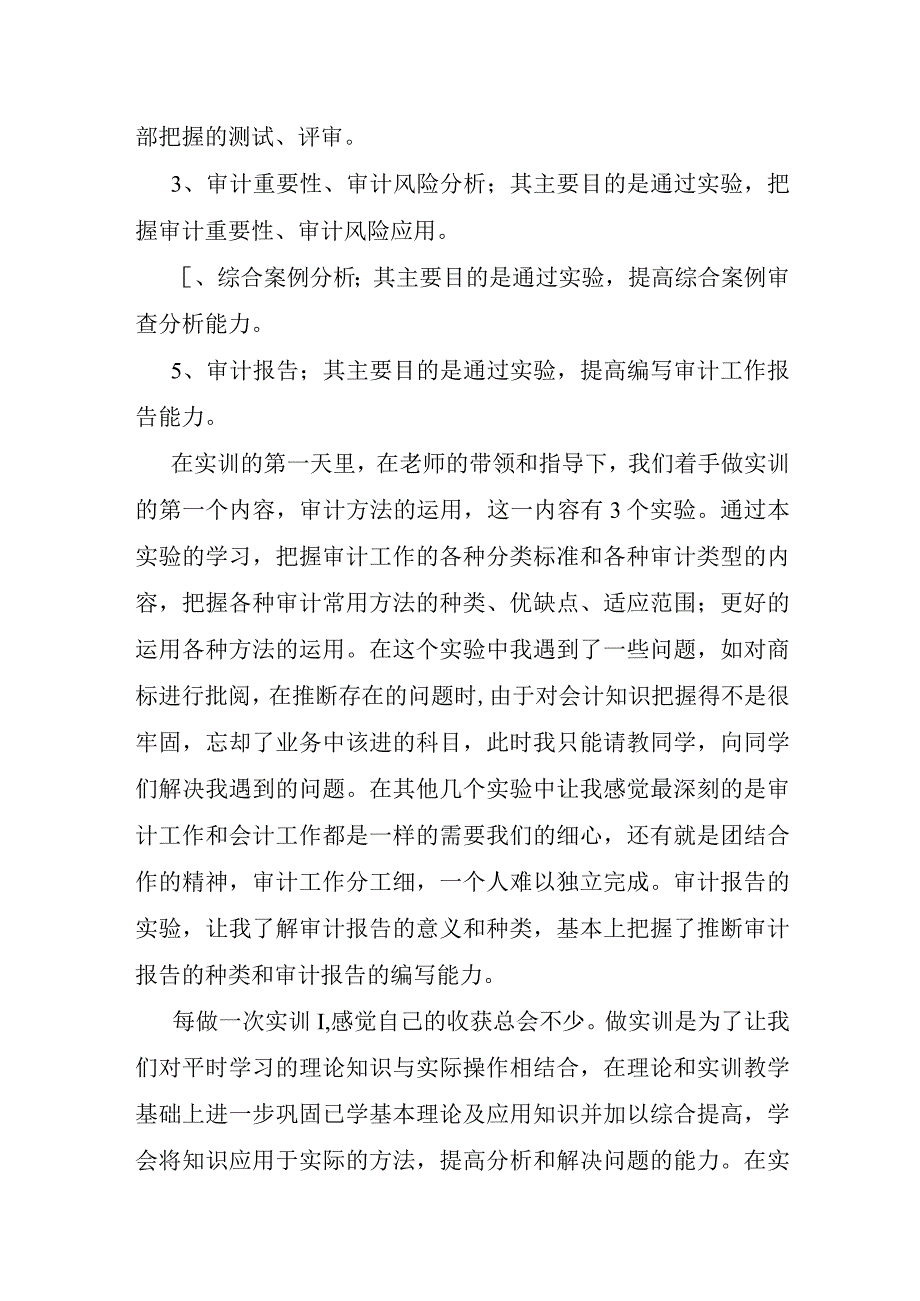 审计实训报告心得体会.docx_第2页