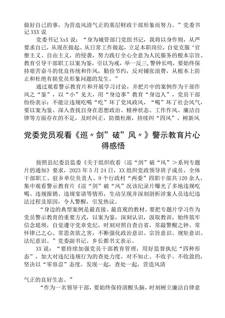 2023年党委书记观看《巡剑破风》警示教育片心得体会精选范文五篇.docx_第2页