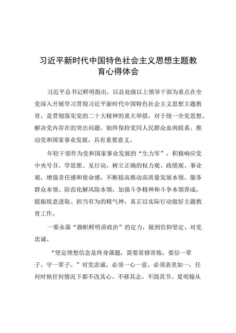 2023年主题教育心得体会发言提纲精品十一篇.docx_第1页