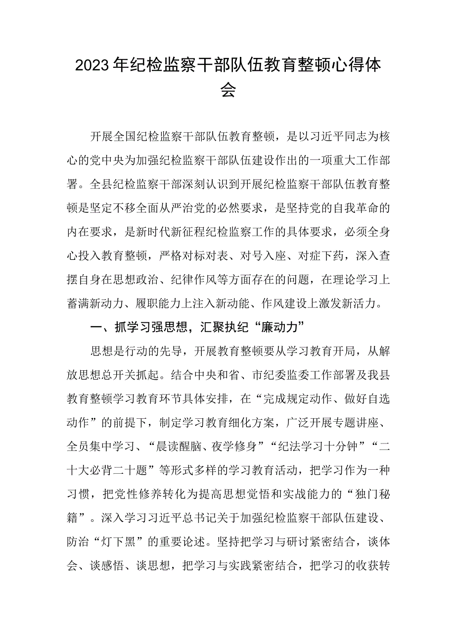 2023年全国纪检监察干部队伍教育整顿活动心得感悟精品六篇.docx_第3页