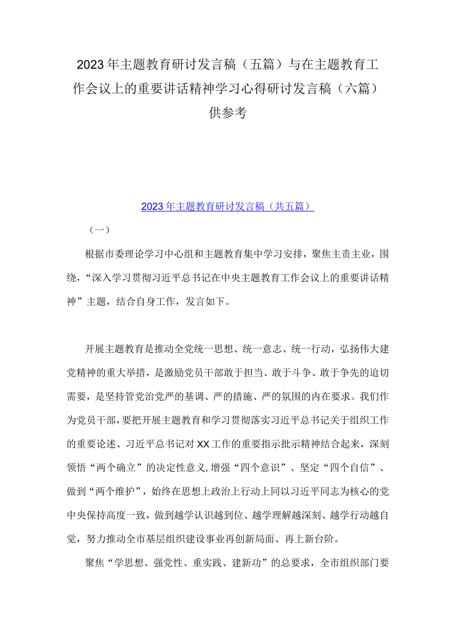 2023年主题教育研讨发言稿五篇与在主题教育工作会议上的重要讲话精神学习心得研讨发言稿六篇供参考.docx_第1页