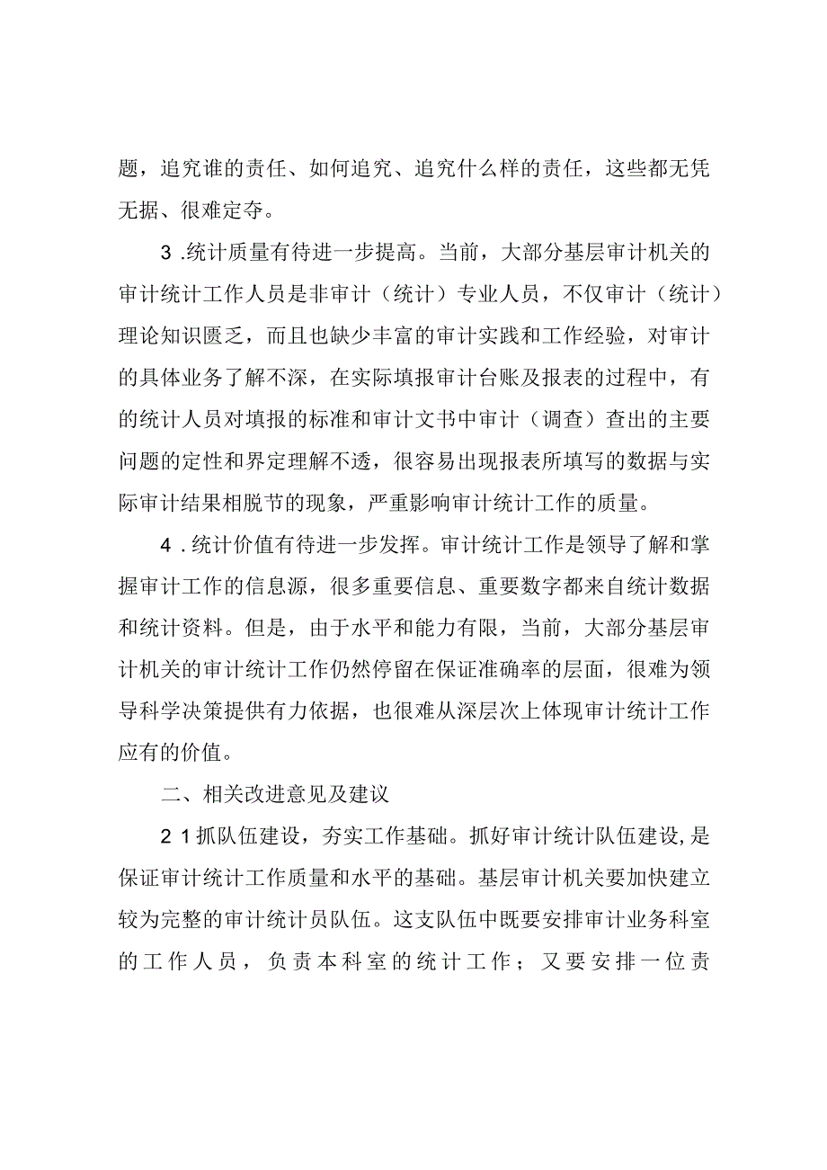 基层审计统计工作存在问题及建议最新分享.docx_第2页