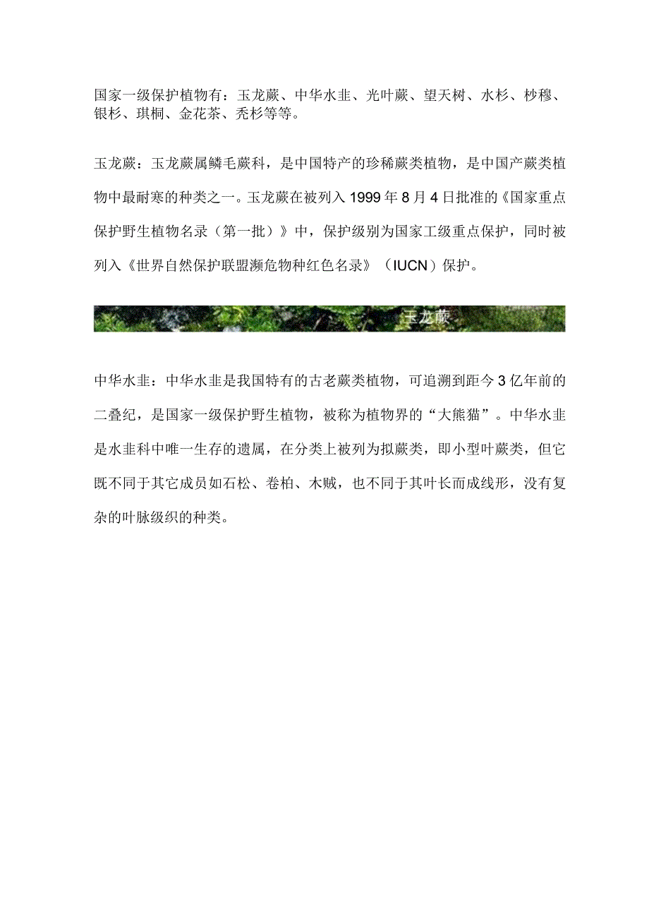 国家一级保护古树.docx_第1页