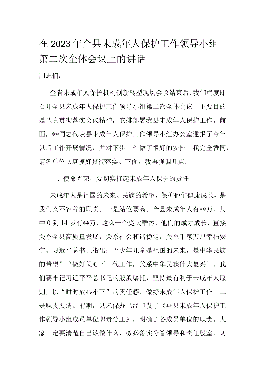 在2023年全县未成年人保护工作领导小组第二次全体会议上的讲话.docx_第1页