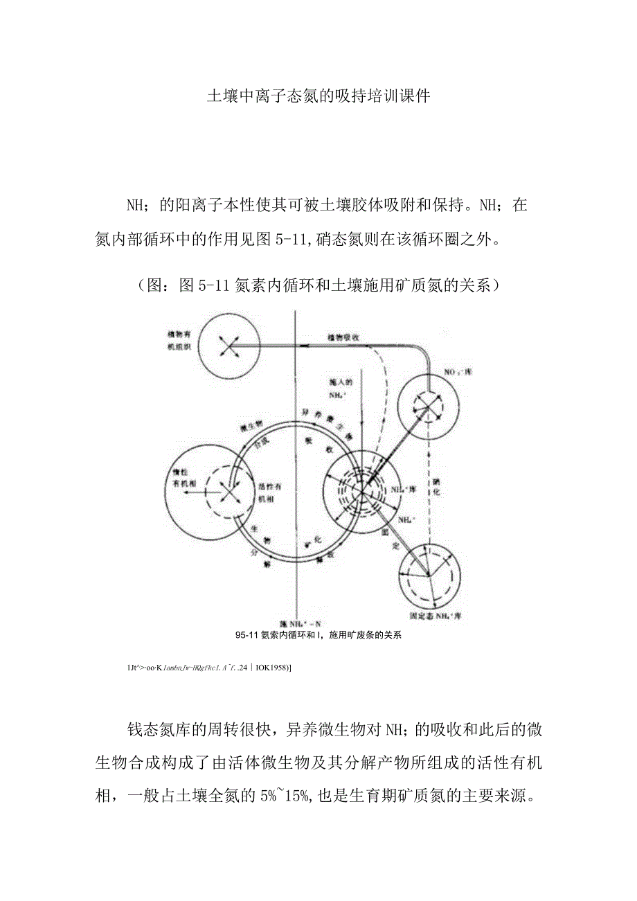 土壤中离子态氮的吸持培训课件.docx_第1页