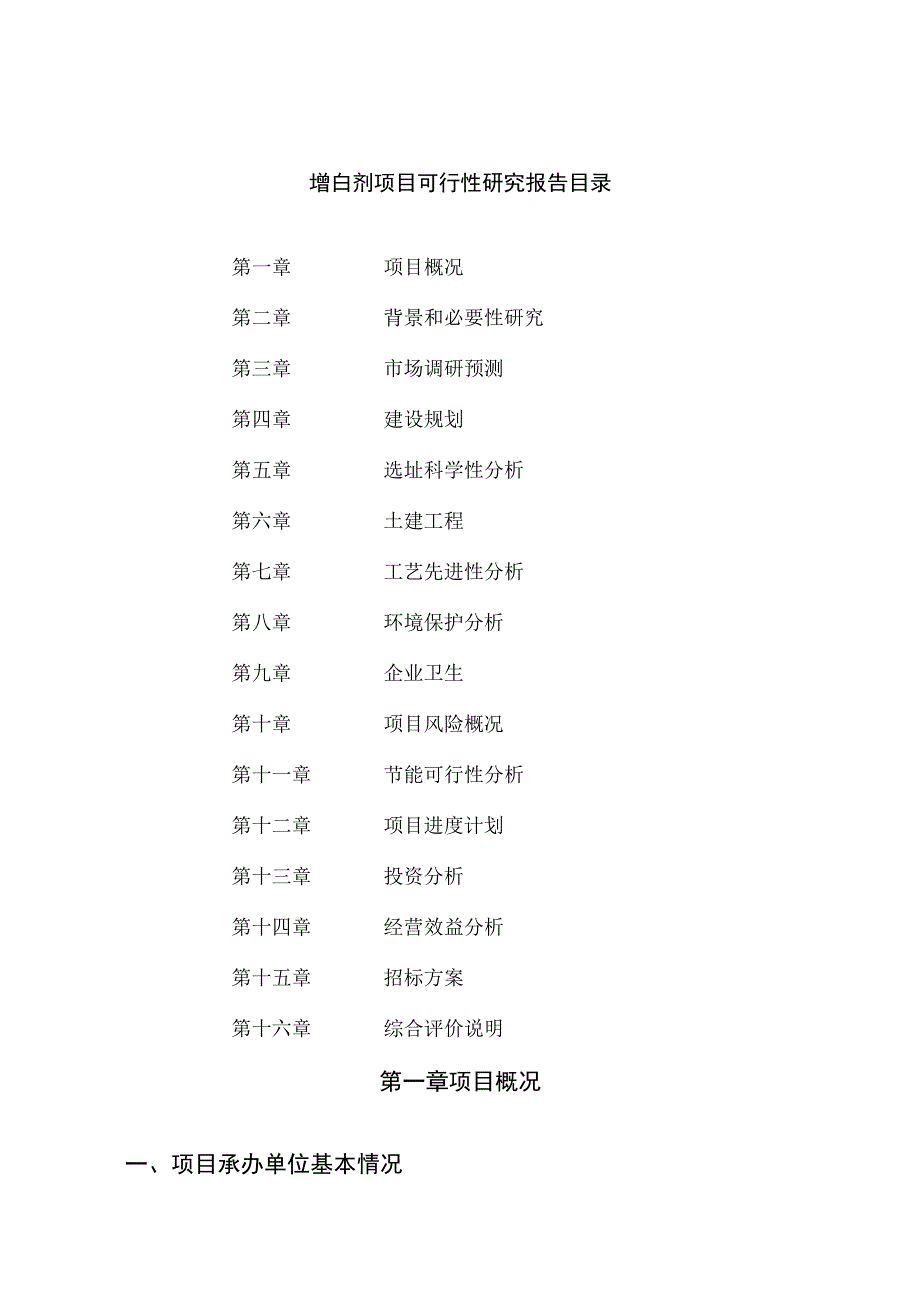 增白剂项目可行性研究报告总投资12000万元53亩.docx_第2页