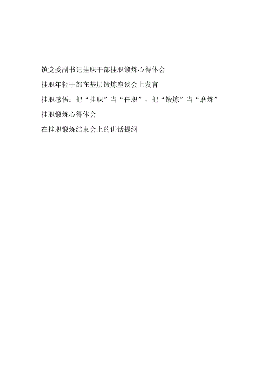 2023年挂职干部挂职锻炼感悟心得体会座谈会发言共5篇.docx_第1页