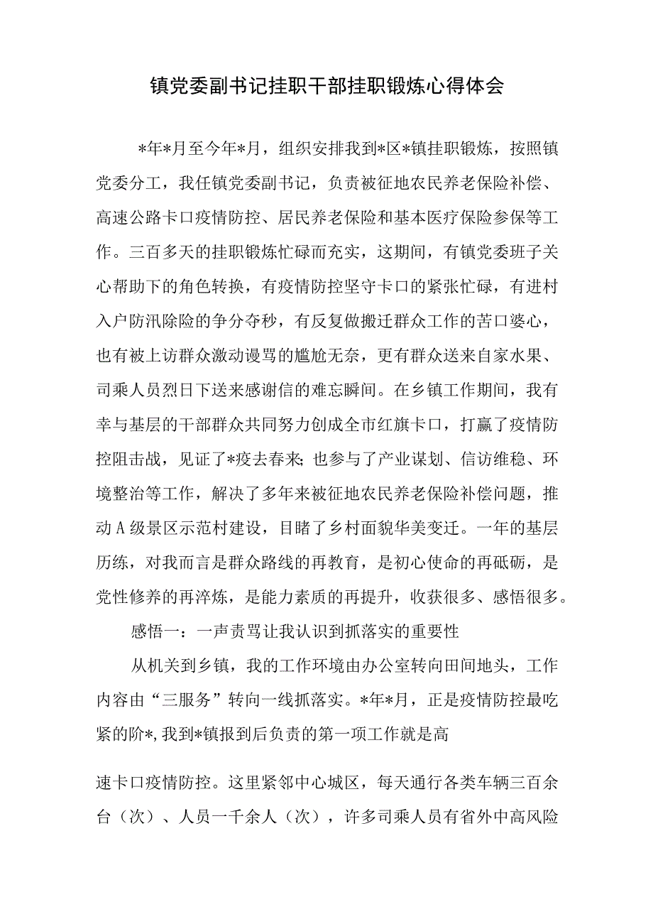 2023年挂职干部挂职锻炼感悟心得体会座谈会发言共5篇.docx_第2页