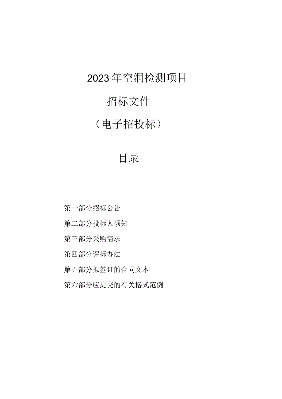 2023年空洞检测项目招标文件.docx_第1页