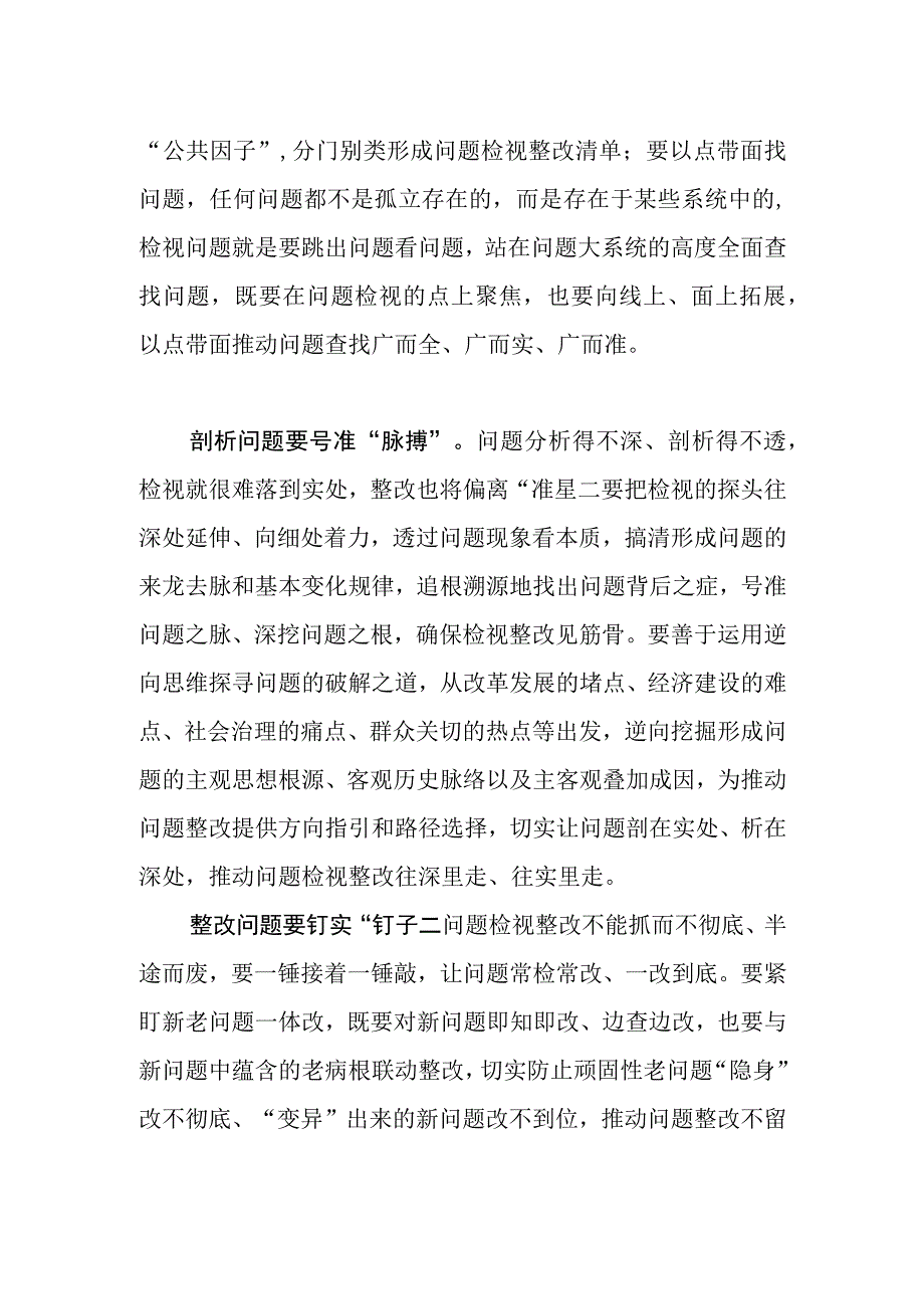 常委宣传部长主题教育研讨发言检视整改切忌浅尝辄止.docx_第2页