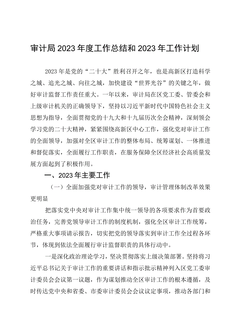 审计局2023年度工作总结和2023年工作计划.docx_第1页