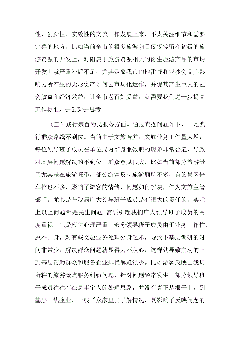 市文化和旅游局领导班子党性检视剖析材料.docx_第3页