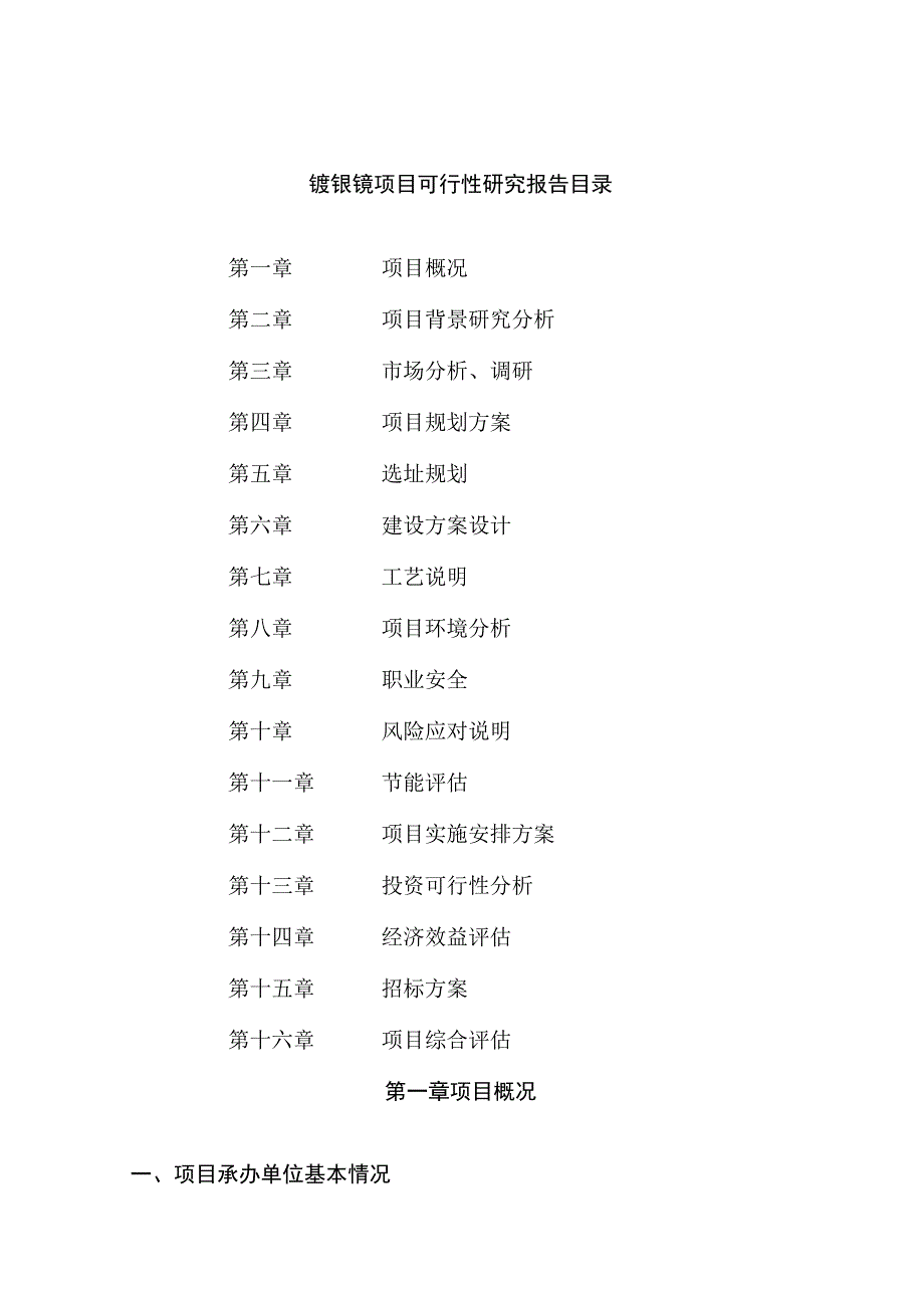 镀银镜项目可行性研究报告总投资7000万元32亩.docx_第2页