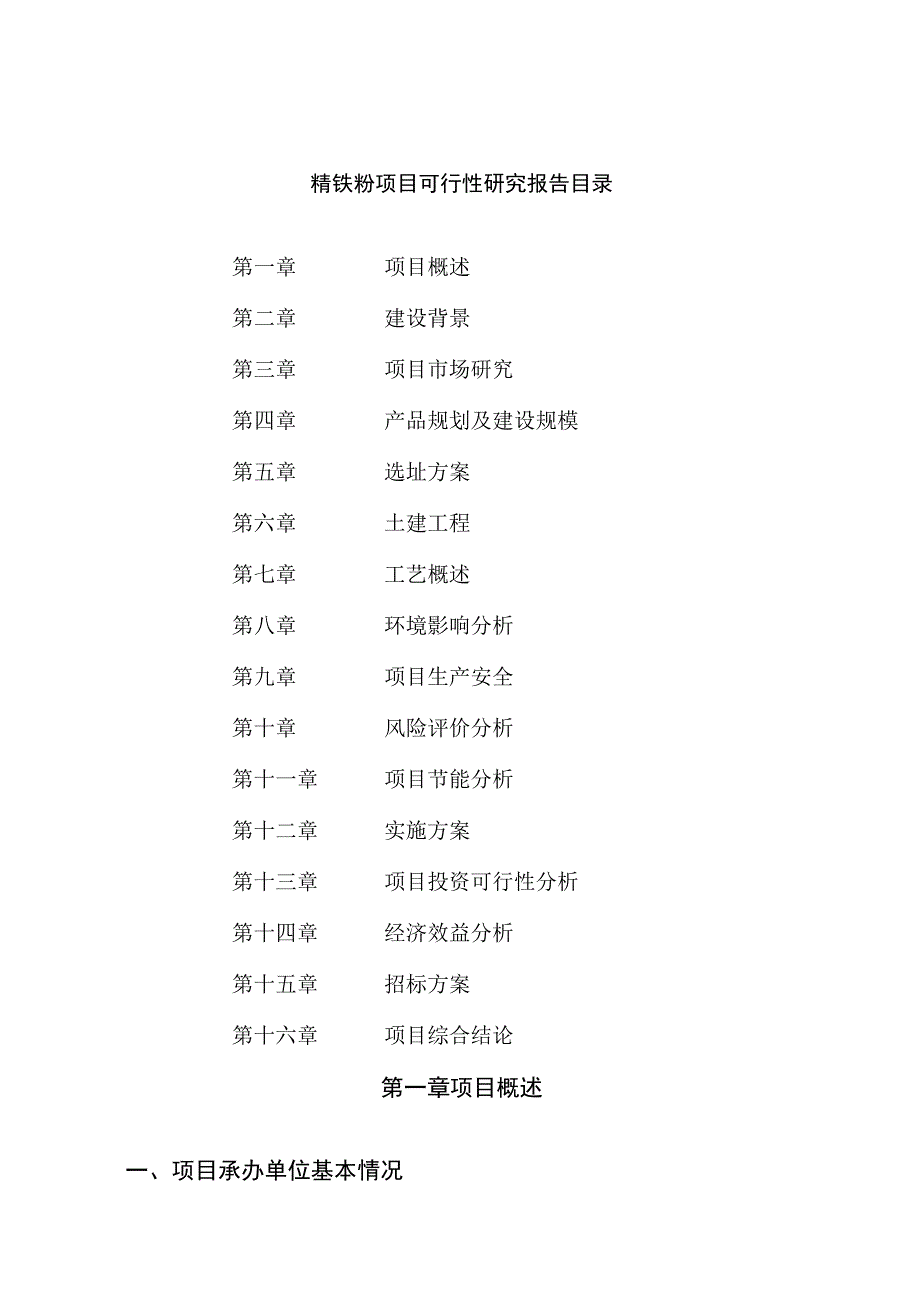 精铁粉项目可行性研究报告总投资7000万元36亩.docx_第2页