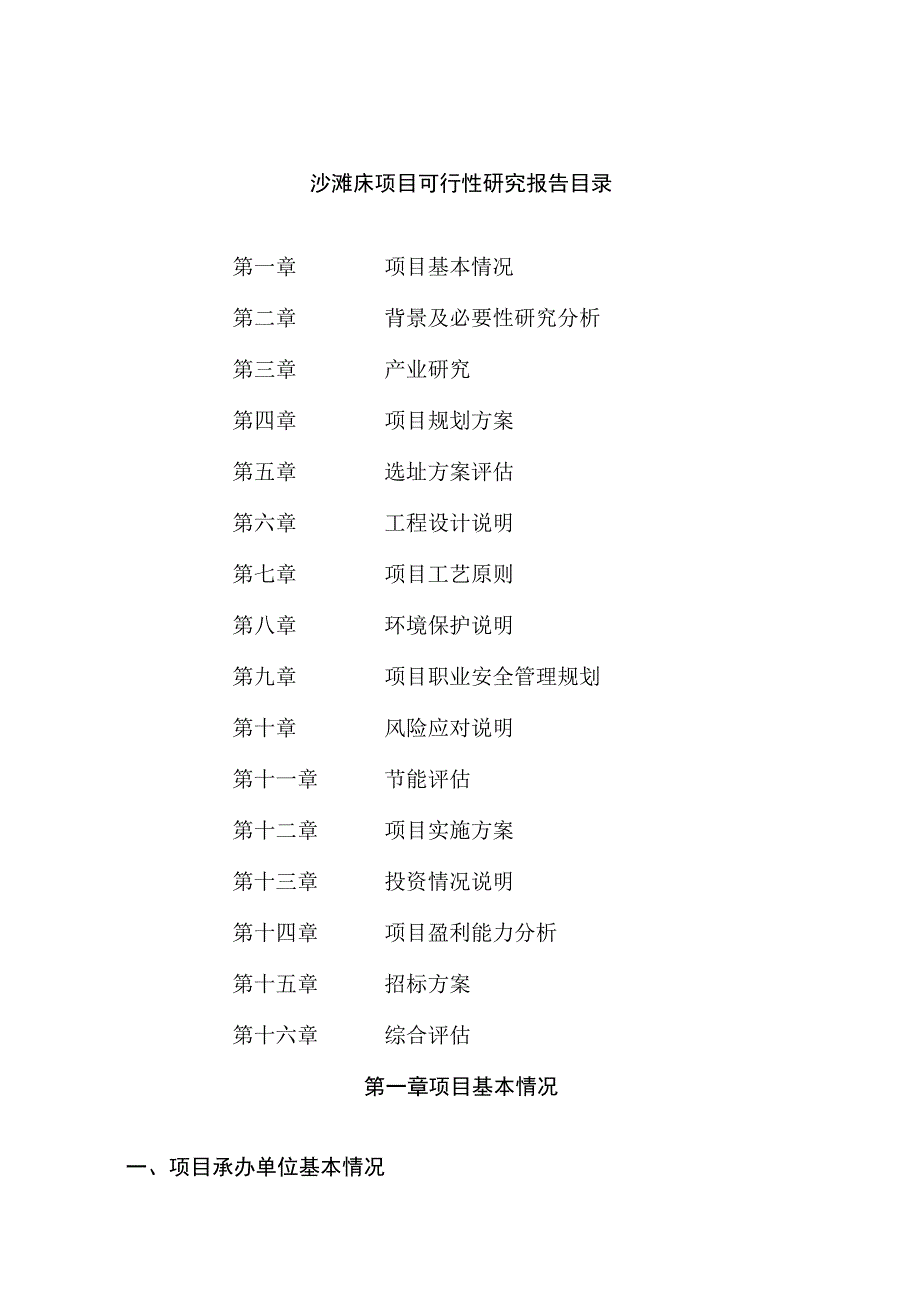 沙滩床项目可行性研究报告总投资10000万元42亩.docx_第2页