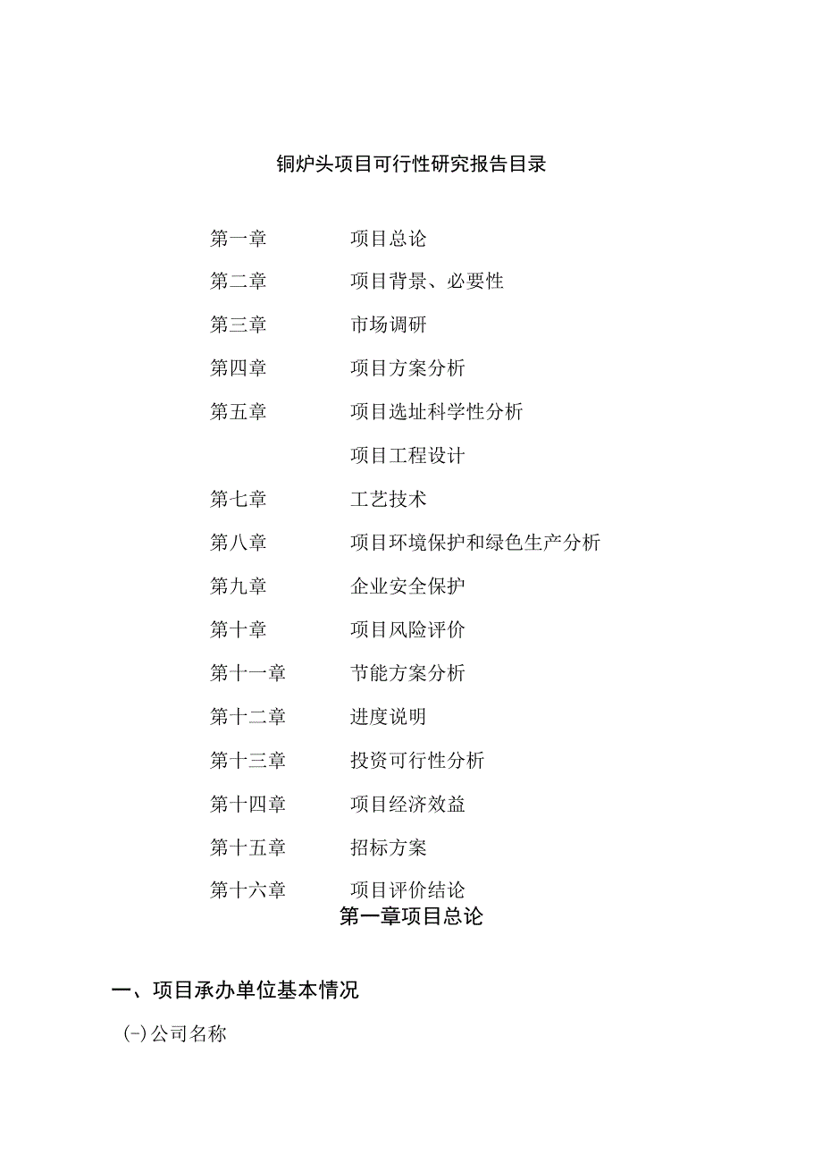 铜炉头项目可行性研究报告总投资15000万元64亩.docx_第2页