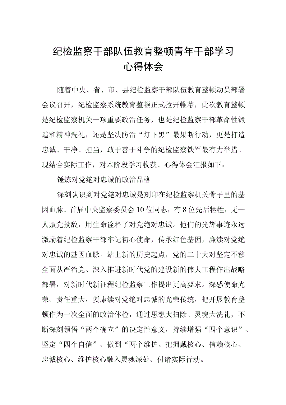 纪检监察干部队伍教育整顿青年干部学习心得体会3篇范本.docx_第1页