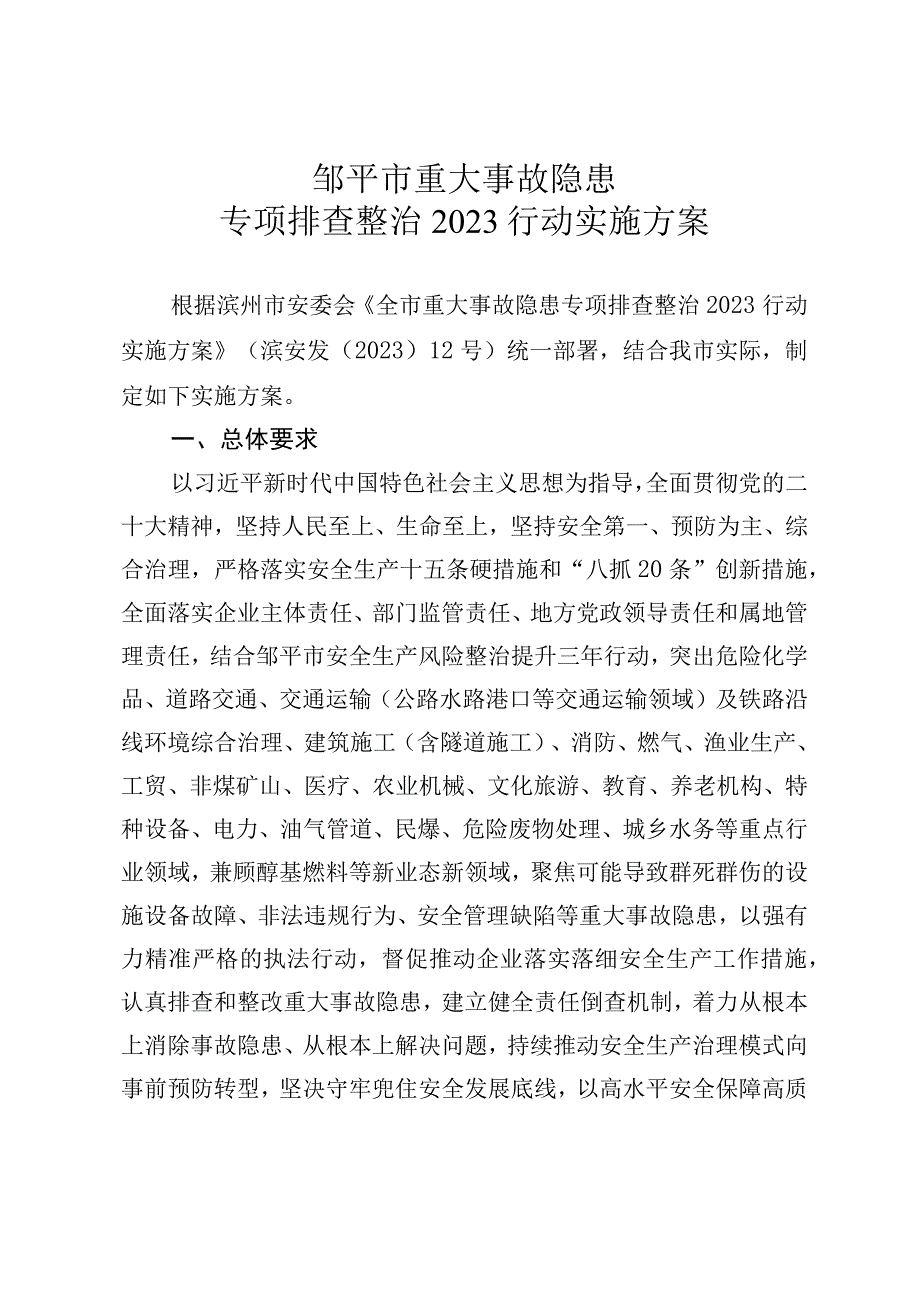 邹安发10号全市重大事故隐患专项排查整治2023行动方案.docx_第2页