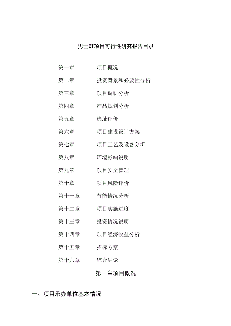 男士鞋项目可行性研究报告总投资7000万元31亩.docx_第2页