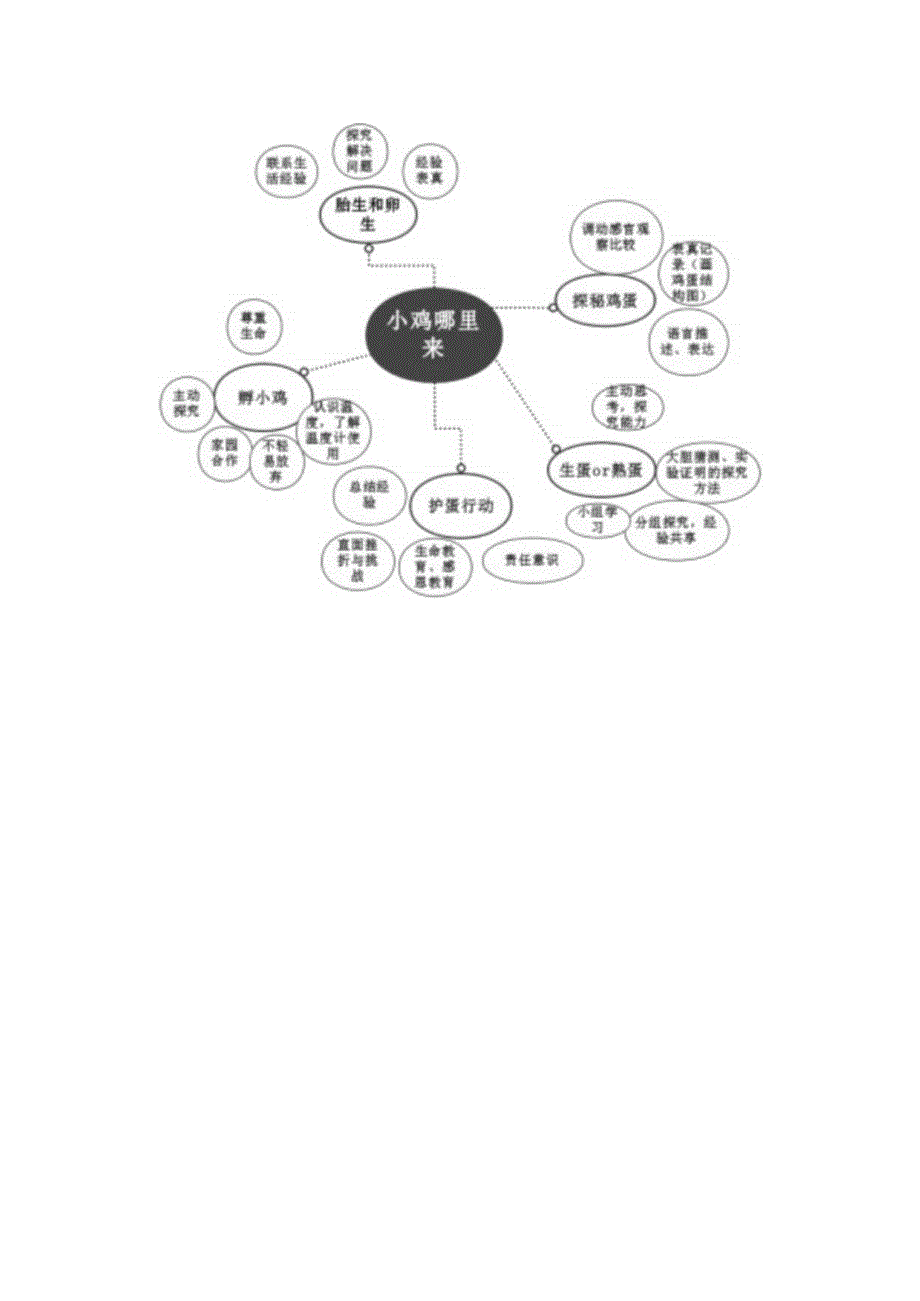 项目故事：小鸡哪里来公开课教案教学设计课件资料.docx_第3页