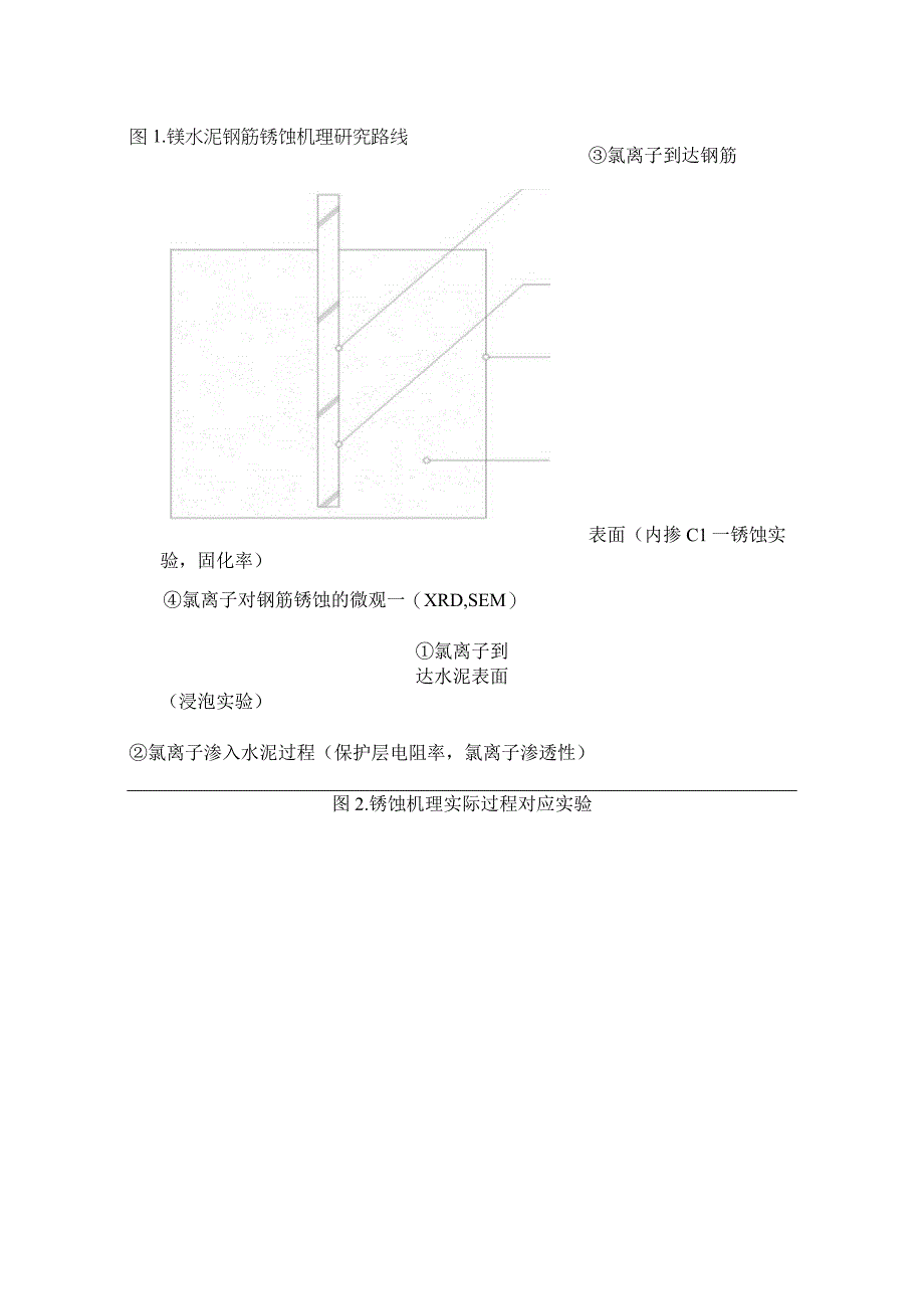 镁水泥钢筋锈蚀机理研究路线.docx_第1页