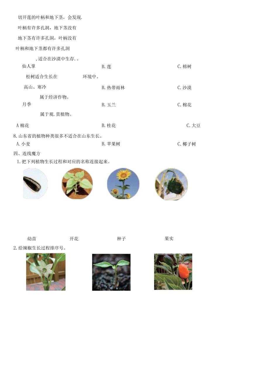 青岛版科学六三制四年级下册第四单元测试题.docx_第3页