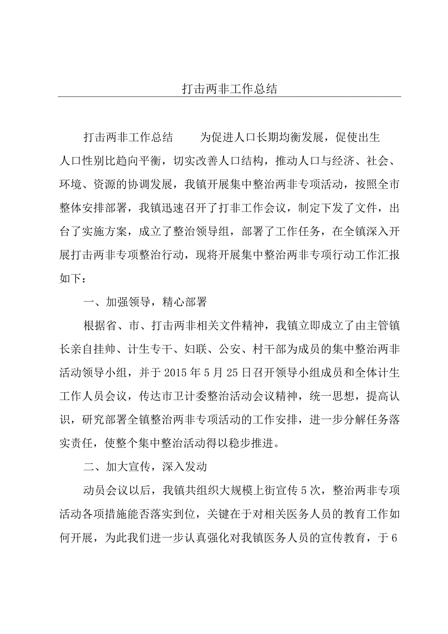 打击两非工作总结.docx_第1页