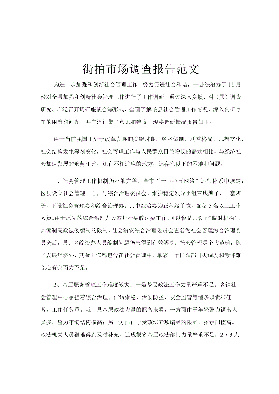 街拍市场调查报告范文.docx_第1页