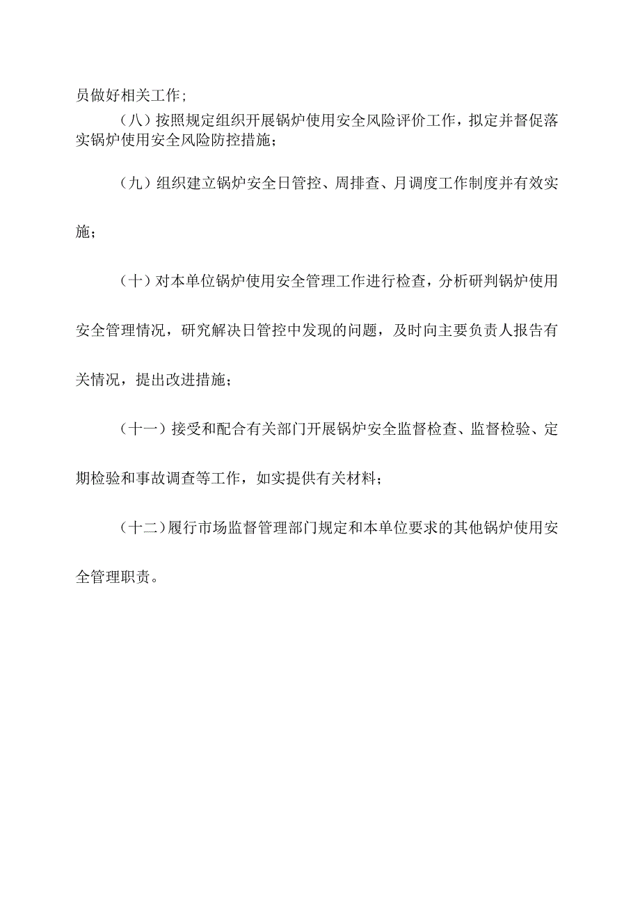 锅炉使用单位安全总监职责.docx_第2页